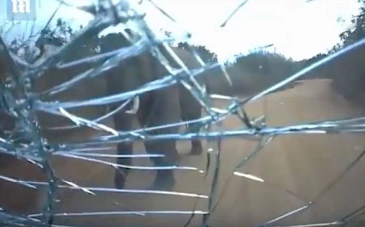 Η σοκαριστική στιγμή που ελέφαντας επιτίθεται σε αυτοκίνητο (βίντεο)